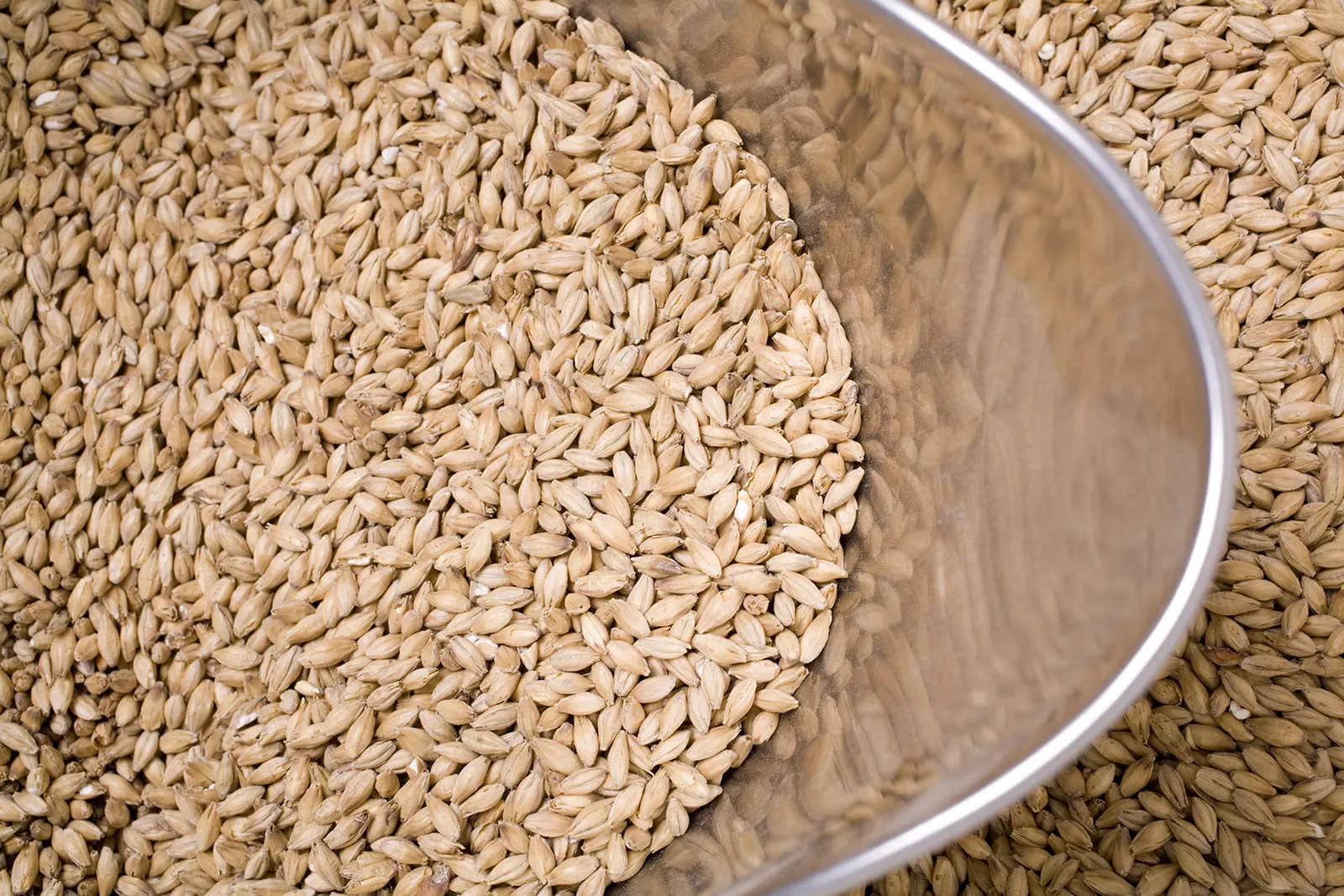 A bowl of malt grains