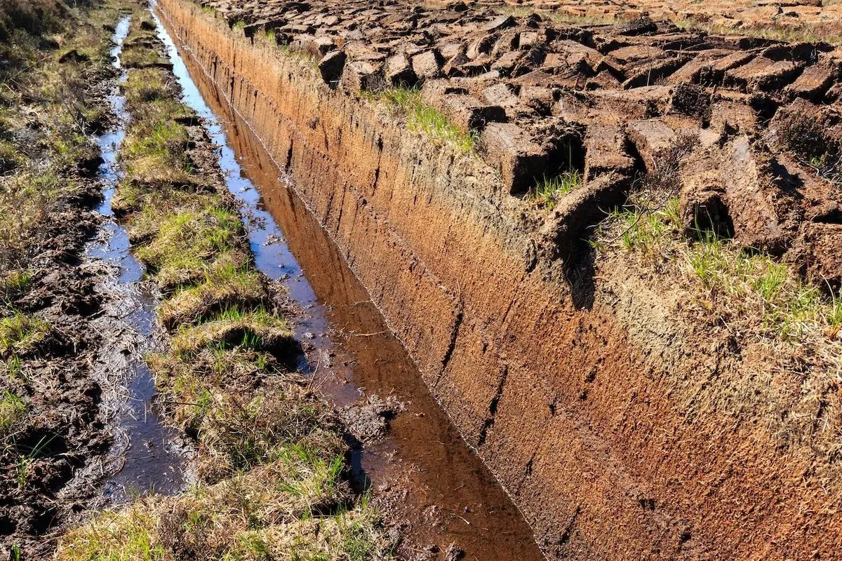 Wet peatland ditch with excavated peat blocks drying.
