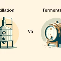 Distillation apparatus versus fermentation barrel illustration.
