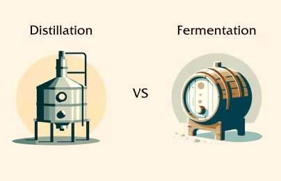 Distillation apparatus versus fermentation barrel illustration.