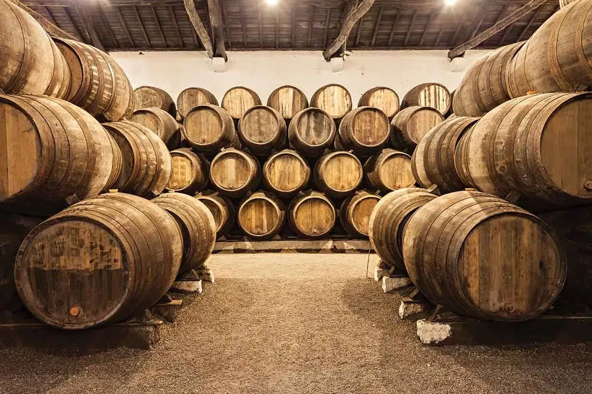 Wooden barrels stacked in winery cellar.