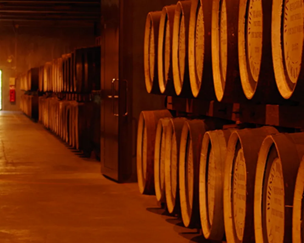 Row of aging whiskey barrels in dim cellar.