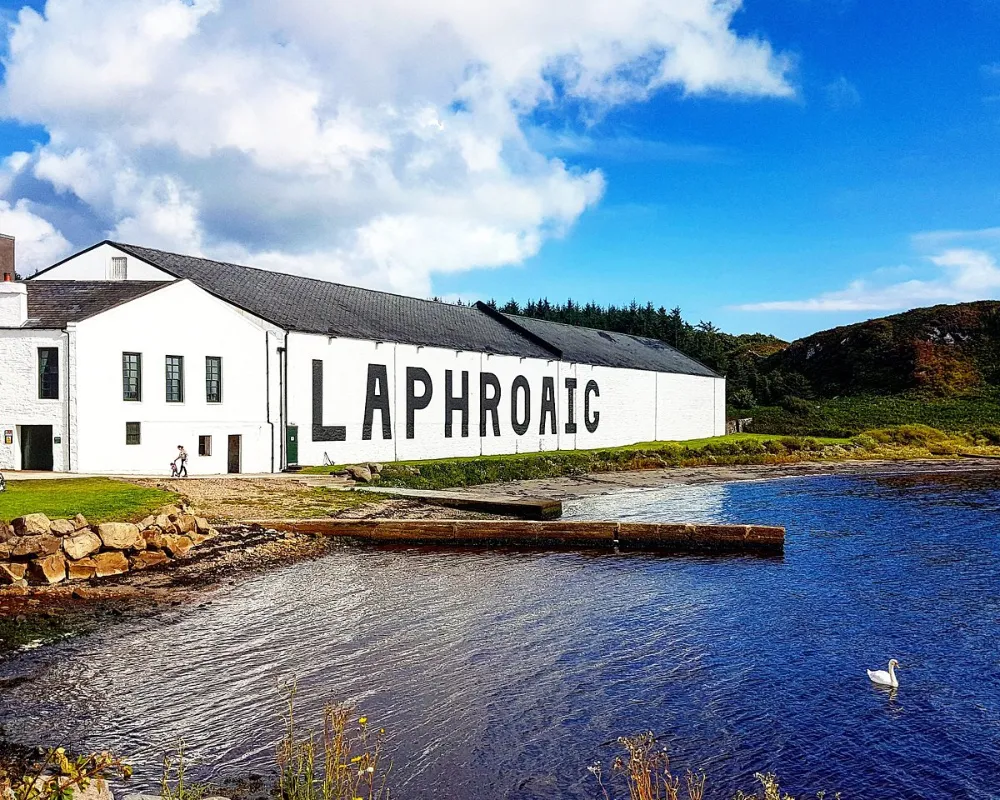 Laphroaig distillery on Scottish coast with swan in water.