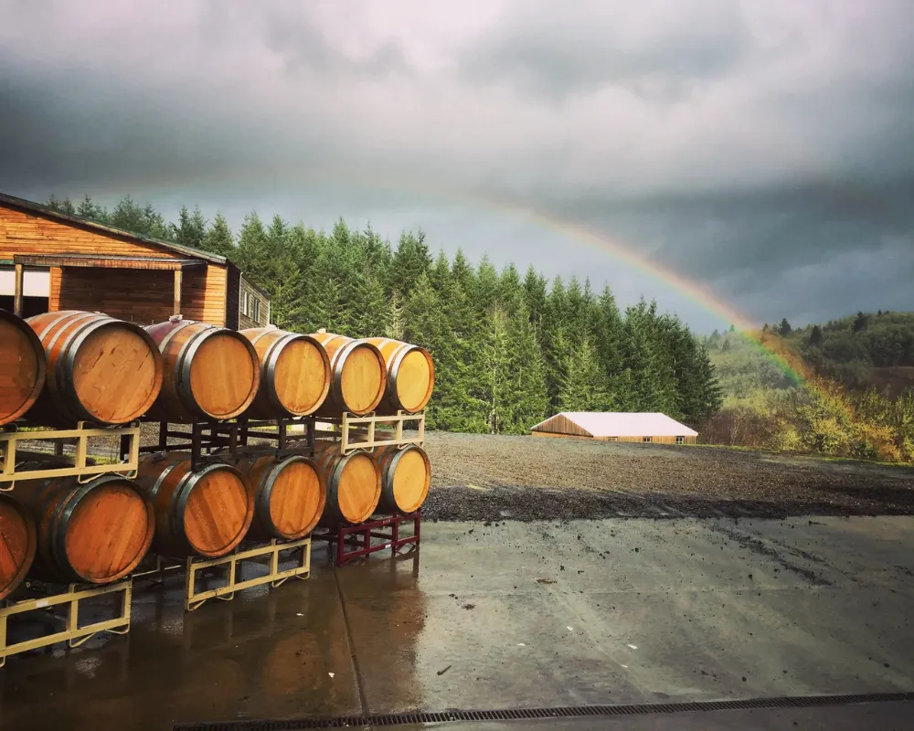 Wine barrels outdoors with rainbow and forest background.