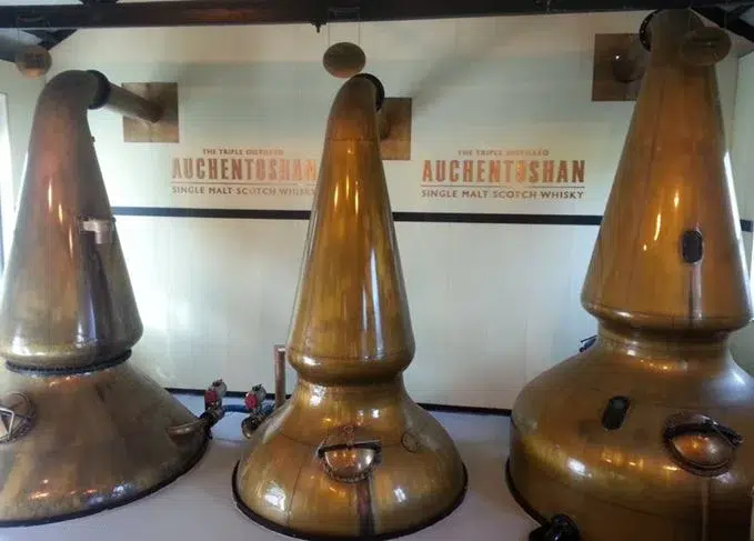 Auchentoshan whiskey distillery copper pot stills.