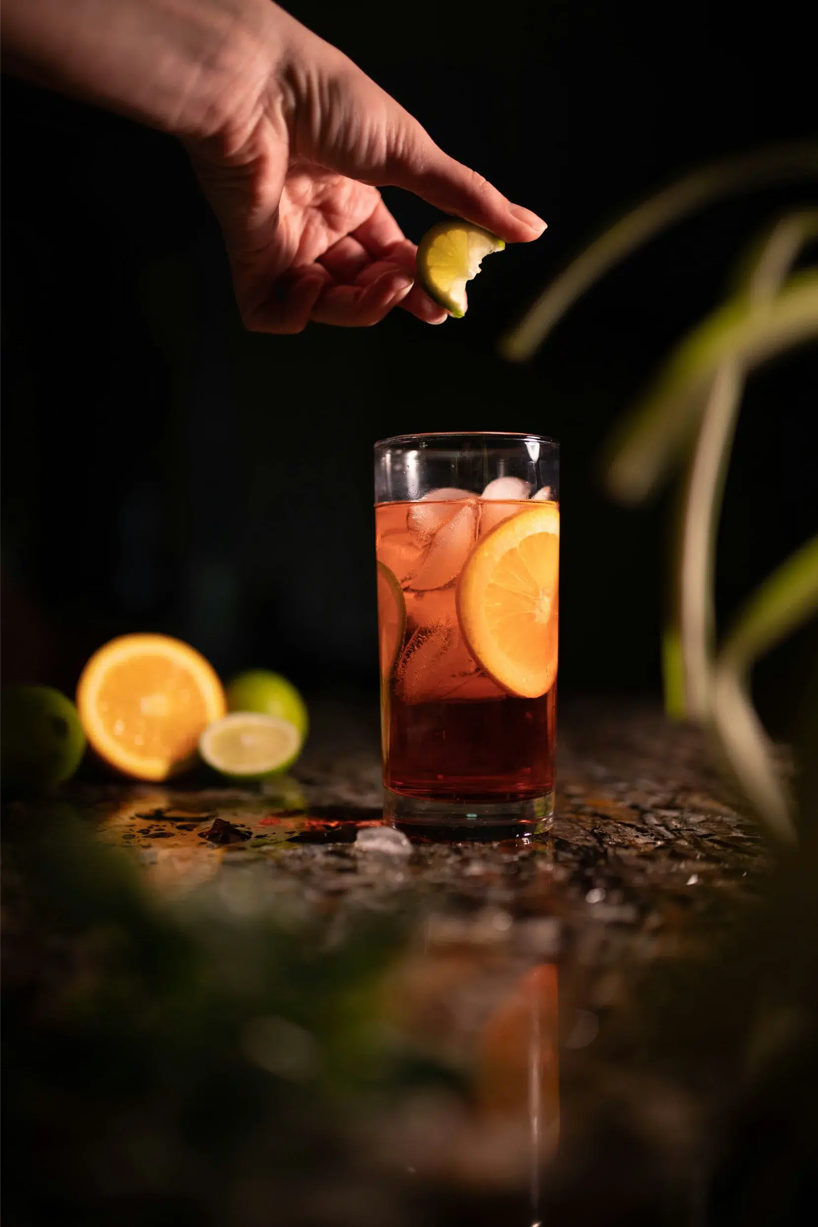 Citrus cocktail in high glass with lemon slices