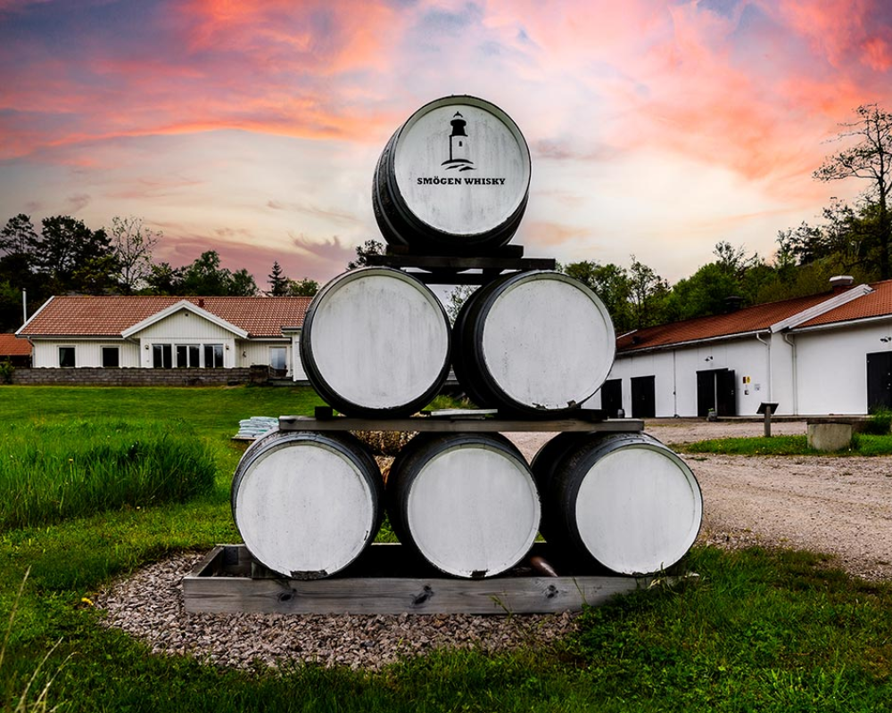 Whisky barrels stacked outdoors near buildings at sunset.