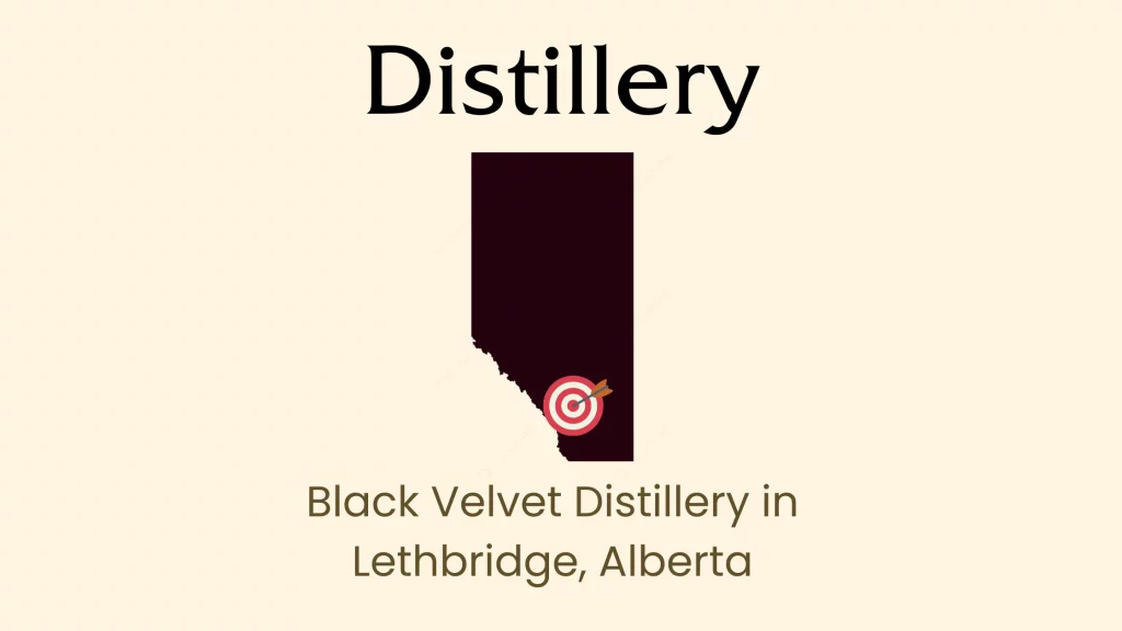 Black Velvet Distillery, Lethbridge, Alberta logo